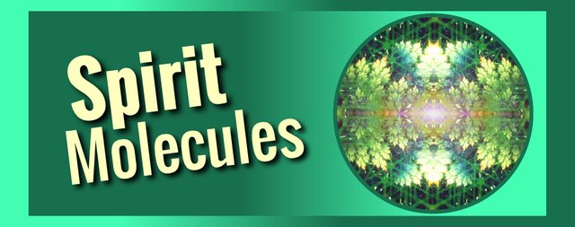 spirit-molecules-thumbnail.JPG