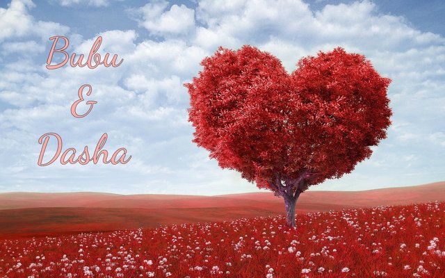 love001.jpg