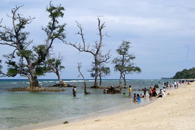 Lhok-Mee-Beach-krueng_raya_Aceh-14.jpg