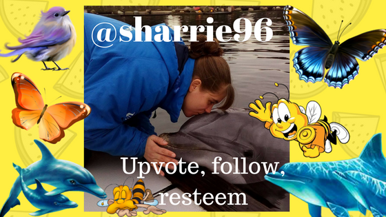 @sharrie96.png