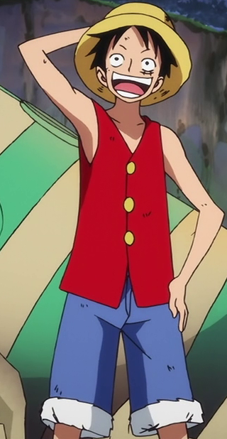 Monkey_D._Luffy_Anime_Pre_Timeskip_Infobox.png