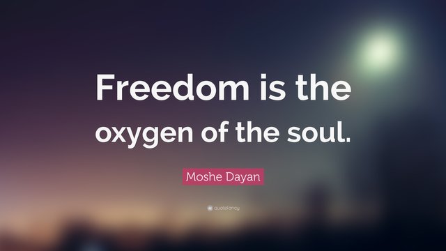 37997-Moshe-Dayan-Quote-Freedom-is-the-oxygen-of-the-soul.jpg