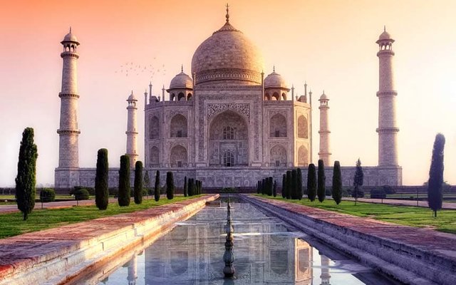 taj-pinl_2492833a.jpg