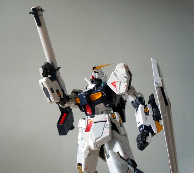 MG-Nu08.jpg