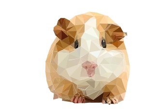 hamster.jpg