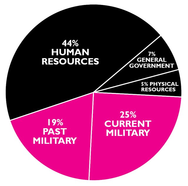 fy2017piegraph.jpg