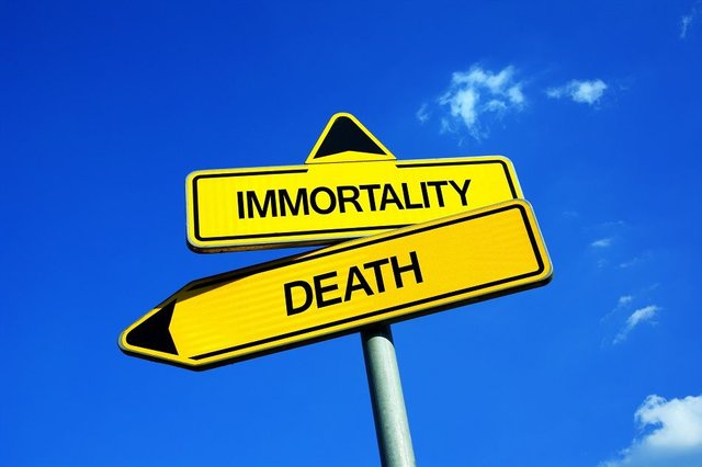 immortality-steem.jpg