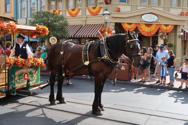 Logo fall horse landscape Magic Kingdom theme park at Walt Disney World Resort September 2017.JPG