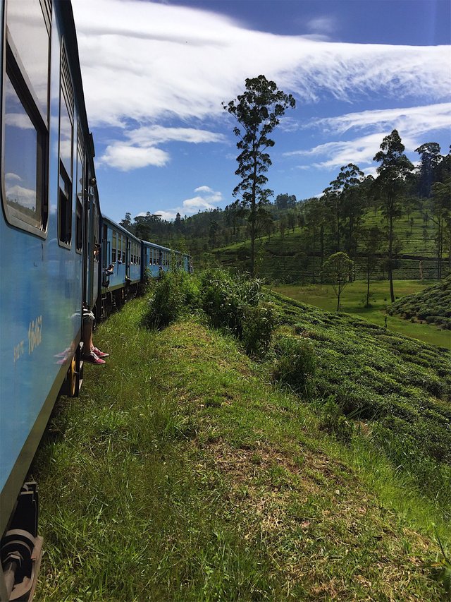 Train through Sri Lanka.jpeg