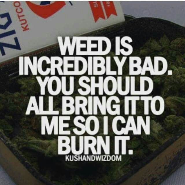 6f2e504c4b324b507469a611722d23d6--stoner-humor-weed-humor.jpg