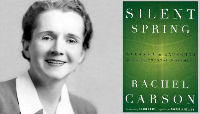 Rachel Carson.jpg