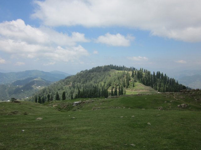 Toli_Peer_1-1.jpg