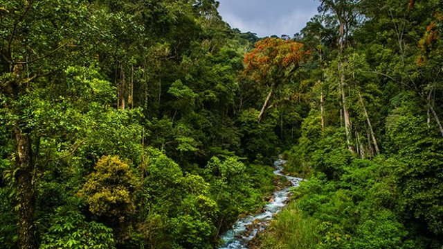 aliran-sungai-di-kedah_20180117_165947.jpg
