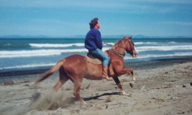 Ross horse beach.jpg