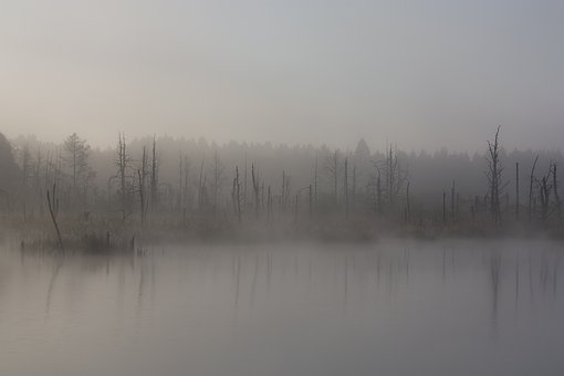 fog-1886939__340.jpg