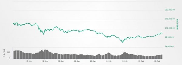 Bitcoin-price-drop-and-rally-600x217.jpg