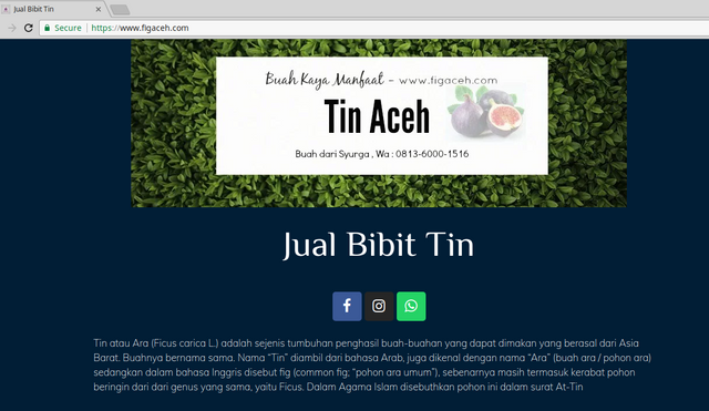 jual bibit tin.png