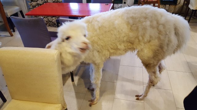 20171014_141931.jpg