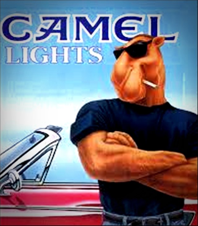 cigarette CAMELs.jpg