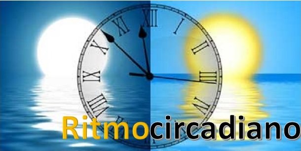 Ritmo-circadiano.jpg