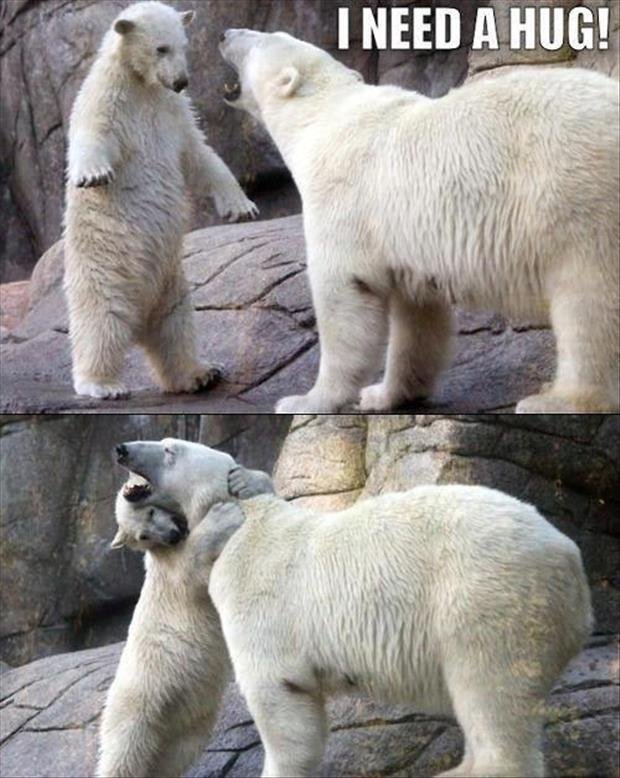 polar hug.jpg