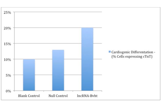 Figure 2.jpg