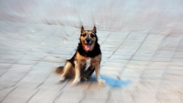 eni with zooming