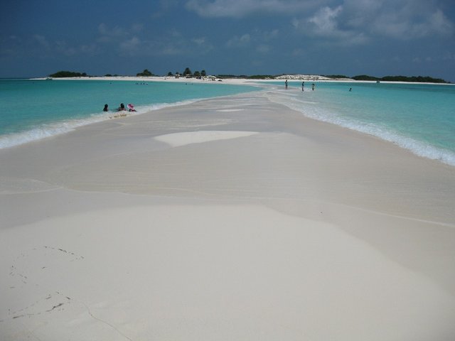 beach-469079_960_720.jpg