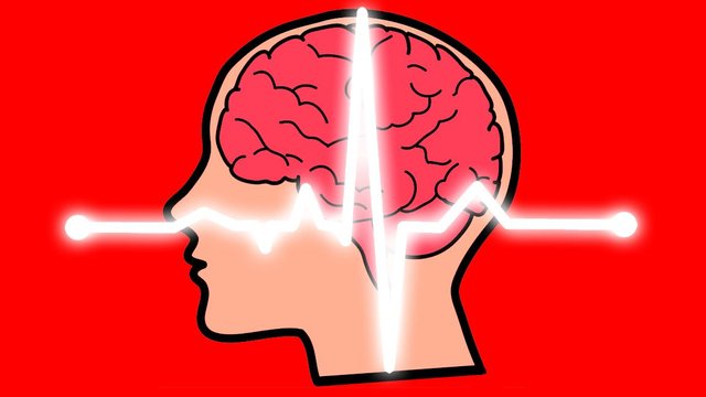 inside cerebral analysis.jpg