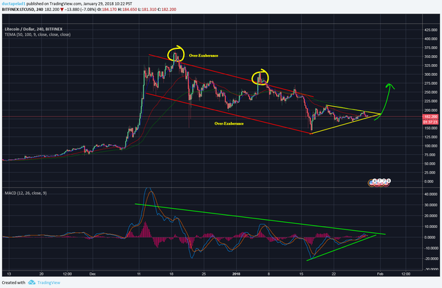 LTC USD Bitfinex.png