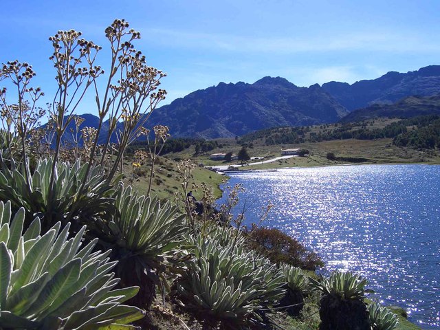 Anden_und_Llanos_Laguna_Mucubaji_01.jpg