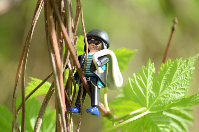burglary-2305228_1920.jpg