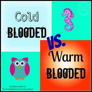 cold vs warm.jpg