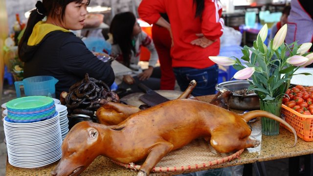 vietnam_dog_meat_flowers.jpg