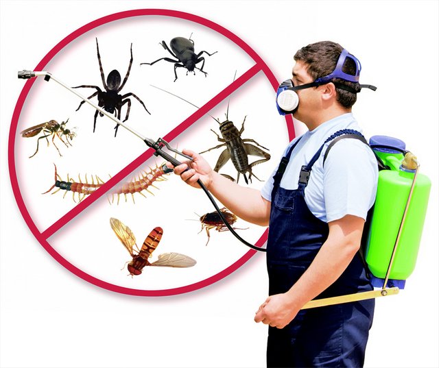 pest-control.jpg