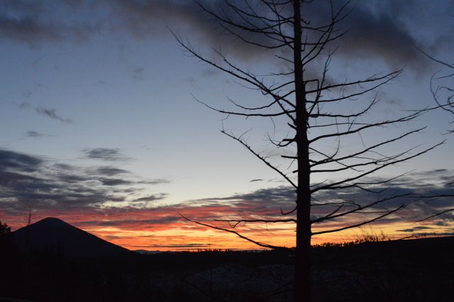DSC_0023.JPG
