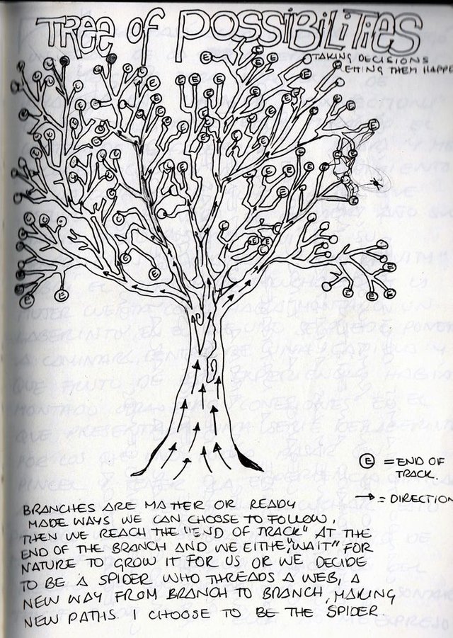 TREEPOSSIBLITIESDIARIO.jpg