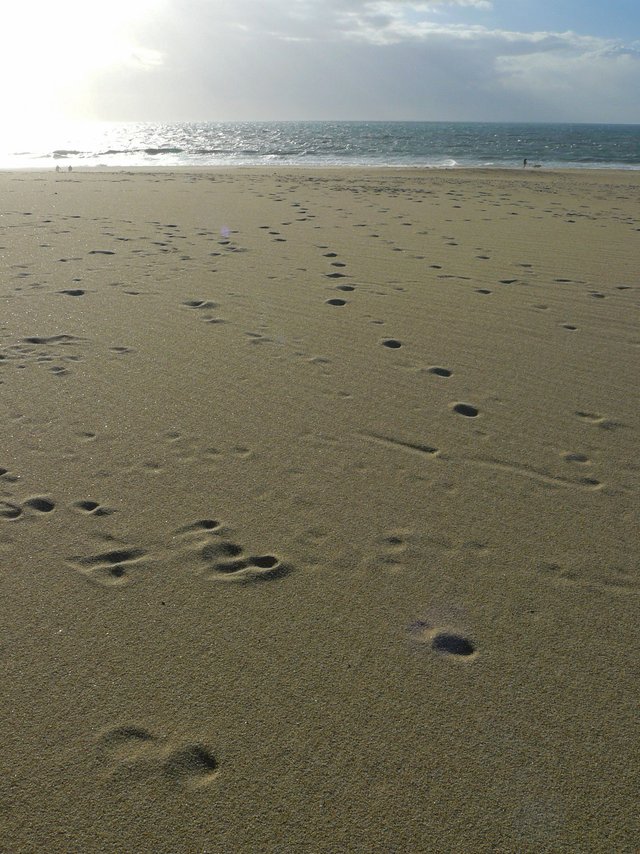 Lagoa de albufeira bech 1.jpg