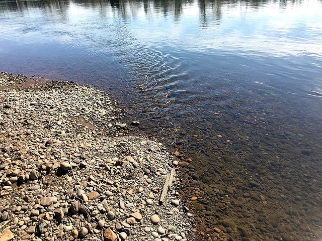 River eddy.JPG
