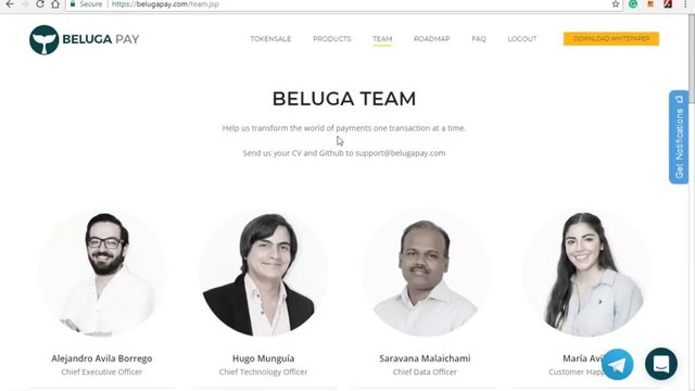 belugapay-team.jpg