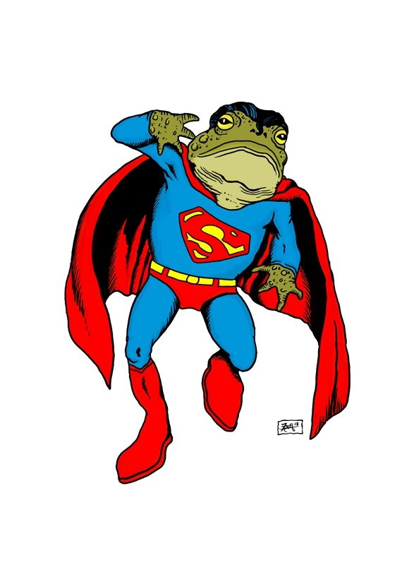 Frog Superman SM.jpg