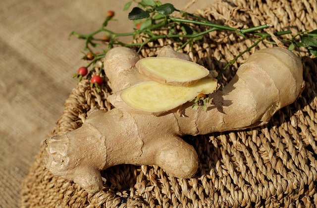 Ginger.jpg
