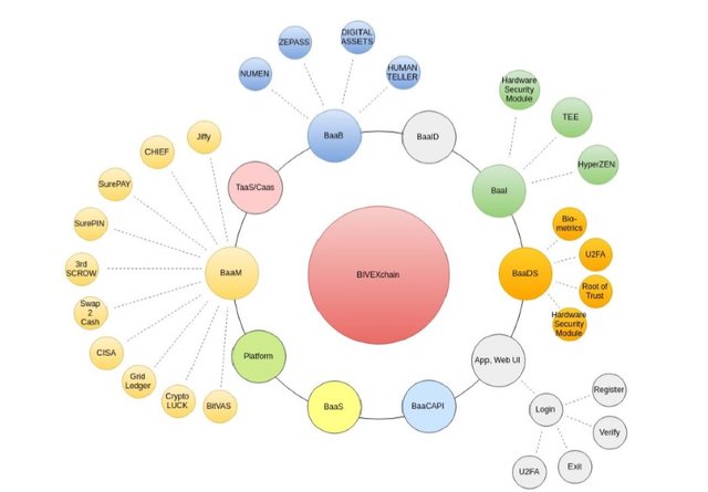 BIVEXchain scheme.jpg
