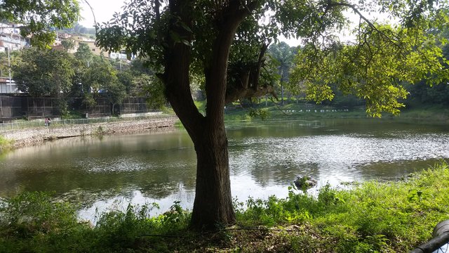 20170411_153835.jpg