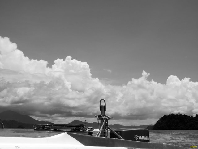 IMG_3725 bw.jpg