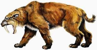 Animal Smilodontes.jpg