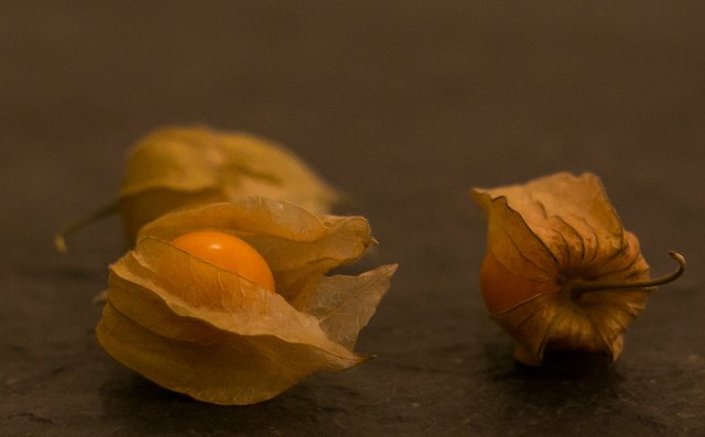 Three_physalis_fruits.jpg