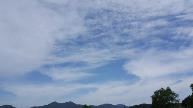 20180520_101207.jpg