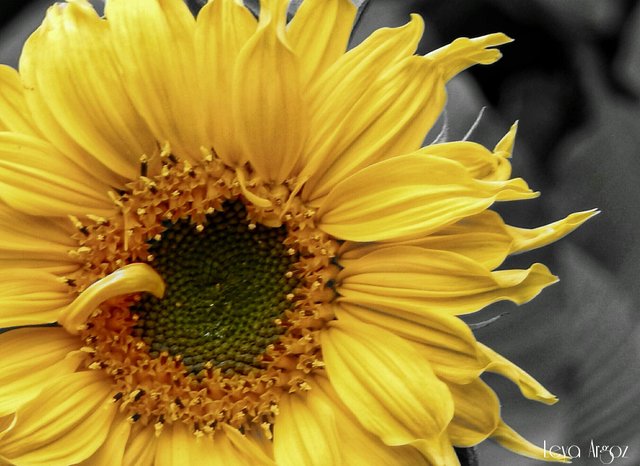 PhotoEditor-1512156089915-02.jpg