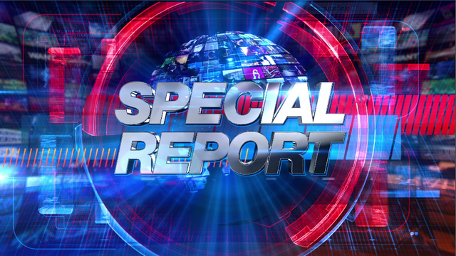 SPECIALREPORT.PNG